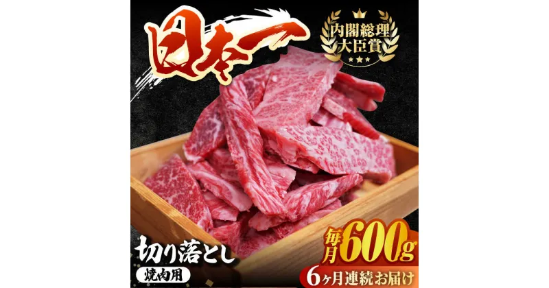 【ふるさと納税】【6回定期便】 長崎和牛 切り落とし（焼肉用）600g 赤身 霜降り 部位ミックス BBQ やきにく うまい ジューシー 東彼杵町/有限会社大川ストアー [BAJ110]