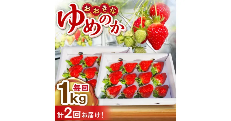 【ふるさと納税】【2回定期便】いちご 計2kg ゆめのか ふるさと納税いちご いちご イチゴ 苺 ゆめのか 産地直送 東彼杵町/ファーミライズ株式会社[BBL005]