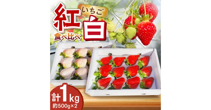 【ふるさと納税】＜2024年12月より順次発送＞紅白いちご食べ比べ 計1kg（約500g×2）いちご イチゴ 白いちご 苺 ゆめのか 食べ比べ セット 東彼杵町/ファーミライズ株式会社[BBL004]