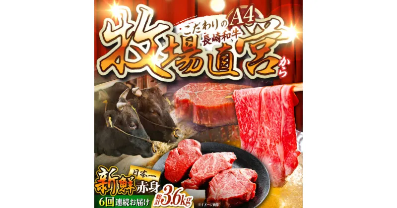 【ふるさと納税】【6回定期便】長崎和牛 赤身定期便 約3~4人前 赤身ステーキ 赤身肉 赤み 牛肉 ヒレ ヒレステーキ 東彼杵町/焼肉音琴[BCT037]