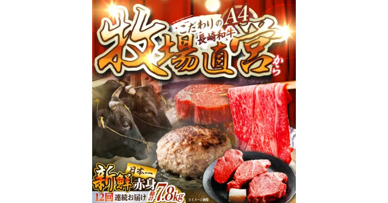 【ふるさと納税】【12回定期便】長崎和牛 赤身定期便 約3~4人前 赤身ステーキ 赤身肉 赤み 牛肉 ヒレ ヒレステーキ 東彼杵町/焼肉音琴[BCT038]