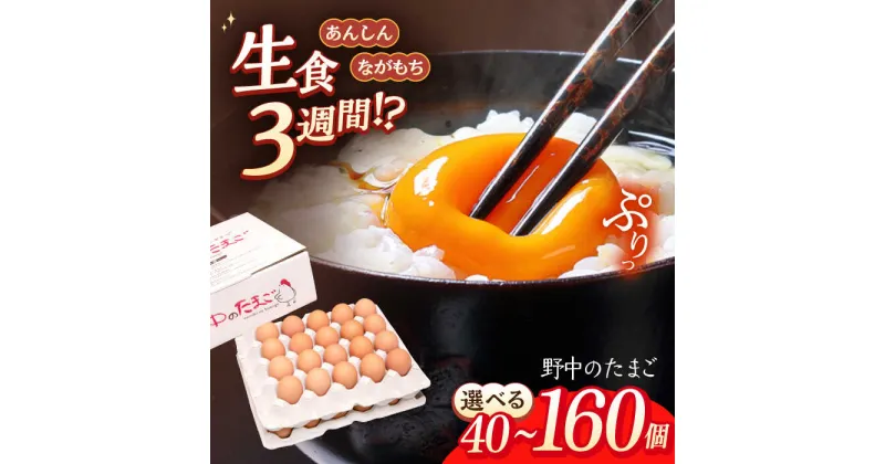 【ふるさと納税】選べる容量！野中のたまご40~160個【野中鶏卵】[OAC003] / 濃厚たまご 40個 80個 160個 こだわり 卵かけごはん タマゴ 大崎半島 大自然 生食 長崎県産 玉子 生卵 鶏卵 鶏 ギフト 朝食 長崎県産 九州産 大量 人気 おいしい 平飼い 日持ち おすそ分け 玉子焼き
