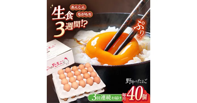 【ふるさと納税】【3回定期便】野中のたまご 40個×3回 総計120個【野中鶏卵】[OAC004] / 濃厚な味わい 黄身 つまめる！たまご 卵 ブランド こだわり卵 卵かけごはん ピッタリ おいしい 大崎半島 大自然 タマゴ 長崎県産 玉子 生卵 鶏卵 鶏 お土産 ギフト 朝食 おすそ分け