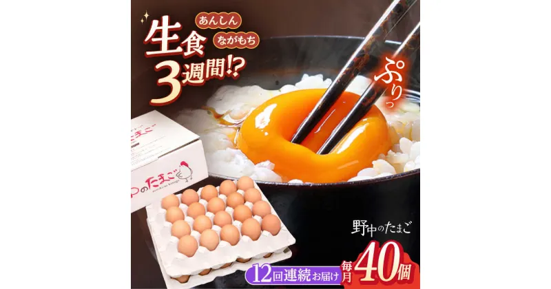 【ふるさと納税】【12回定期便】野中のたまご 40個×12回 計480個【野中鶏卵】[OAC006] / 濃厚な味わい 黄身 たまご 卵 ブランド こだわり卵 卵かけごはん おいしい 大崎半島 大自然 タマゴ 長崎県産 玉子 生卵 鶏卵 お土産 ギフト 朝食 12か月 定期配送 産地直送 定期