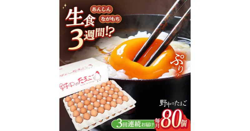 【ふるさと納税】【3回定期便】野中のたまご 80個×3回 計240個【野中鶏卵】[OAC007] / 濃厚な味わい 黄身 つまめる！たまご 卵 ブランド こだわり卵 卵かけごはん ピッタリ おいしい 大崎半島 大自然 タマゴ 長崎県産 玉子 生卵 鶏卵 朝ごはん 鶏 お土産 ギフト 朝食 定期