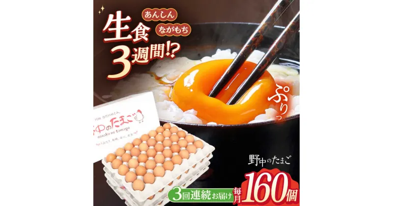 【ふるさと納税】【3回定期便】野中のたまご 160個×3回 総計480個【野中鶏卵】[OAC010] / 濃厚な味わい たまご 卵 黄身 つまめる！ブランド こだわり卵 卵かけごはん ピッタリ おいしい 大崎半島 大自然 タマゴ 長崎県産 玉子 生卵 鶏卵 鶏 お土産 ギフト 朝食 定期 大容量