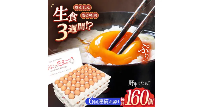 【ふるさと納税】【6回定期便】野中のたまご 160個×6回 総計960個【野中鶏卵】[OAC011] / 濃厚な味わい 黄身 つまめる！たまご 卵 ブランド こだわり卵 卵かけごはん ピッタリ おいしい 大崎半島 大自然 タマゴ 長崎県産 玉子 生卵 鶏卵 鶏 お土産 ギフト 朝食 おすそ分け