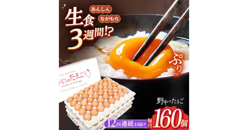 【ふるさと納税】【12回定期便】 野中のたまご 160個×12回 計1920個【野中鶏卵】[OAC012] / 濃厚な味わい 黄身 つまめる！卵ブランド こだわり卵 卵かけごはん ピッタリ おいしい 大崎半島 大自然 タマゴ 長崎県産 玉子 生卵 鶏卵 鶏 お土産 ギフト 朝食 おすそ分け 大容量