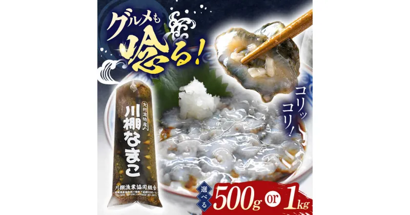 【ふるさと納税】【数量限定】川棚 なまこ 約1kg/500g 選べる容量！※ 2024年12月中旬より順次発送予定【森水産】[OAI001] / コリコリ 食感 おせち 正月 ナマコ 逸品 肴 おつまみ 海鼠 魚介類 海鮮 冷蔵 九州産 長崎県産 大村湾 産 1万円 人気 ポン酢 お取り寄せ グルメ