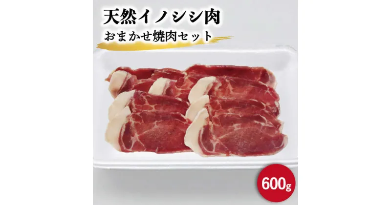 【ふるさと納税】ジビエ 天然 イノシシ肉 おまかせ焼肉セット 600g （ロース・モモ・バラ）【照本食肉加工所】[OAJ004] / 猪 いのしし イノシシ 猪肉 お肉 焼き肉 BBQ 冷凍 九州産 長崎県産 じびえ しし ぼたん鍋 切り落とし 柔らかい 臭みなし 豚 代用 産地直送 スライス