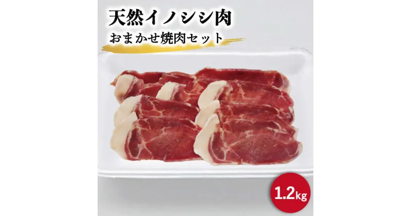 【ふるさと納税】ジビエ 天然 イノシシ肉 おまかせ焼肉セット 1,200g （ロース・モモ・バラ）【照本食肉加工所】[OAJ006] / 猪 いのしし イノシシ 猪肉 お肉 焼き肉 BBQ 冷凍 九州産 長崎県産 バーベキュー じびえ 豚肉 代用 栄養 柔らかい 臭みなし スライス 切り落とし