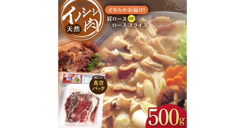 【ふるさと納税】イノシシ肉 肩ロース or ロース スライス 500g【照本食肉加工所】[OAJ010] / ジビエ 天然 猪 いのしし イノシシ 猪肉 お肉 精肉 スライス肉 冷凍 九州産 長崎県産 しし鍋 ぼたん鍋 豚汁 ろーす すらいす 切り落とし 真空パック 産地直送 臭みなし 柔らかい