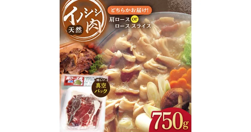 【ふるさと納税】イノシシ肉 肩ロース or ロース スライス 750g【照本食肉加工所】[OAJ011] / ジビエ 天然 猪 いのしし イノシシ 猪肉 お肉 精肉 スライス肉 冷凍 九州産 長崎県産 ろーす 豚肉 代用 ぼたん鍋 鍋用 焼肉 炒め物 産地直送 真空パック しし鍋 柔らかい 臭みなし