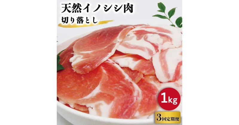 【ふるさと納税】【3回定期便】ジビエ 天然 イノシシ肉 切り落とし1kg（ぼたん鍋・煮込料理・野菜炒め用等）/ 猪 いのしし イノシシ 猪肉 お肉 しし鍋 精肉 冷凍 九州産 長崎県産【照本食肉加工所】 [OAJ019]