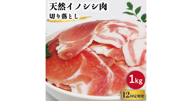 【ふるさと納税】【12回定期便】ジビエ 天然 イノシシ肉 切り落とし1kg（ぼたん鍋・煮込料理・野菜炒め用等）/ 猪 いのしし イノシシ 猪肉 お肉 しし鍋 精肉 冷凍 九州産 長崎県産【照本食肉加工所】 [OAJ021]