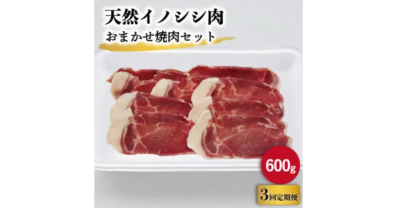 【ふるさと納税】【3回定期便】ジビエ 天然 イノシシ肉 おまかせ焼肉セット 600g （ロース・モモ・バラ）/ 猪 いのしし イノシシ 猪肉 お肉 焼き肉 BBQ 冷凍 九州産 長崎県産【照本食肉加工所】 [OAJ028]