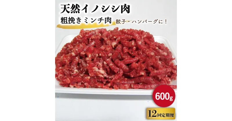 【ふるさと納税】【12回定期便】ジビエ 天然 イノシシ肉 粗挽きミンチ肉 600g / 猪 いのしし イノシシ 猪肉 お肉 精肉 あらびき 冷凍 九州産 長崎県産【照本食肉加工所】 [OAJ048]