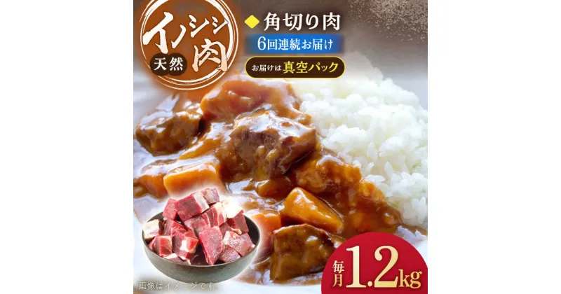 【ふるさと納税】【6回定期便】ジビエ 天然 イノシシ肉 角切り肉 1,200g（カレー・シチュー）/ 猪 いのしし イノシシ 猪肉 お肉 精肉 冷凍 九州産 長崎県産【照本食肉加工所】 [OAJ065]