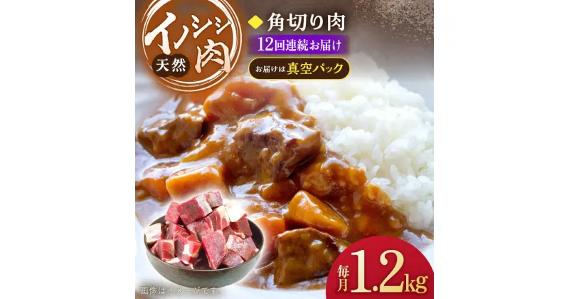 【ふるさと納税】【12回定期便】ジビエ 天然 イノシシ肉 角切り肉 1,200g（カレー・シチュー）/ 猪 いのしし イノシシ 猪肉 お肉 精肉 冷凍 九州産 長崎県産【照本食肉加工所】 [OAJ066]