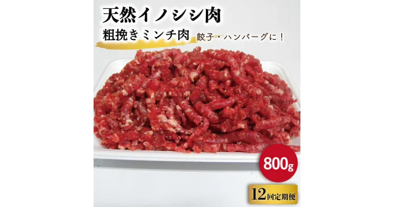 【ふるさと納税】【12回定期便】ジビエ 天然 イノシシ肉 粗挽きミンチ肉 800g / 猪 いのしし イノシシ 猪肉 お肉 精肉 あらびき 冷凍 九州産 長崎県産【照本食肉加工所】 [OAJ069]