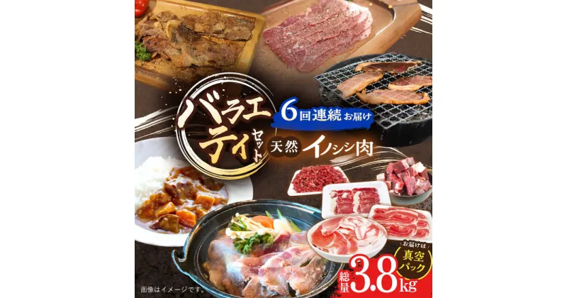 【ふるさと納税】【6回定期便】猪肉 バラエティセット 総量3.8kg / 冷凍発送 いのしし イノシシ 猪 ジビエ 肉 シシ いのしし肉 イノシシ肉 ぼたん鍋 焼肉用 切り落とし こま切れ スライス 冷凍 10万円台 十万円台 九州産 長崎県産 長崎県 川棚町【照本食肉加工所】 [OAJ073]