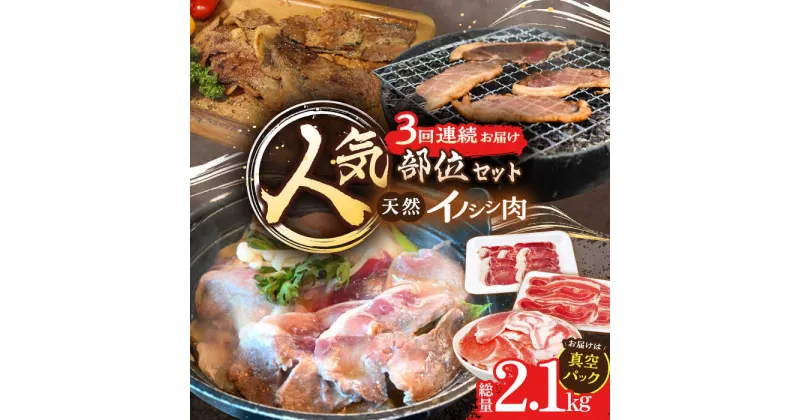 【ふるさと納税】【3回定期便】猪肉 人気部位セット 総量2.1kg / 冷凍発送 いのしし イノシシ 猪 ジビエ 肉 シシ いのしし肉 イノシシ肉 ぼたん鍋 焼肉用 切り落とし こま切れ スライス 冷凍 10万円台 十万円台 九州産 長崎県産 長崎県 川棚町【照本食肉加工所】 [OAJ074]