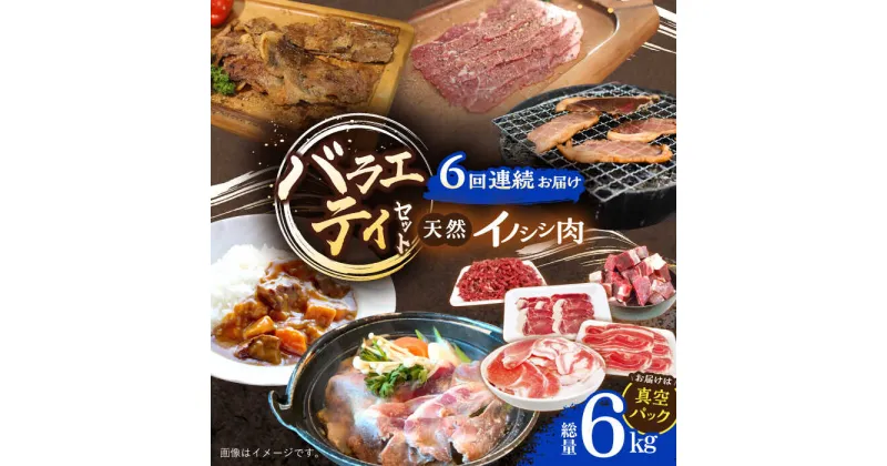 【ふるさと納税】【6回定期便】猪肉 バラエティセット 総量6.0kg / 冷凍発送 いのしし イノシシ 猪 ジビエ 肉 シシ いのしし肉 イノシシ肉 ぼたん鍋 焼肉用 切り落とし こま切れ スライス 冷凍 10万円台 十万円台 九州産 長崎県産 長崎県 川棚町【照本食肉加工所】 [OAJ075]