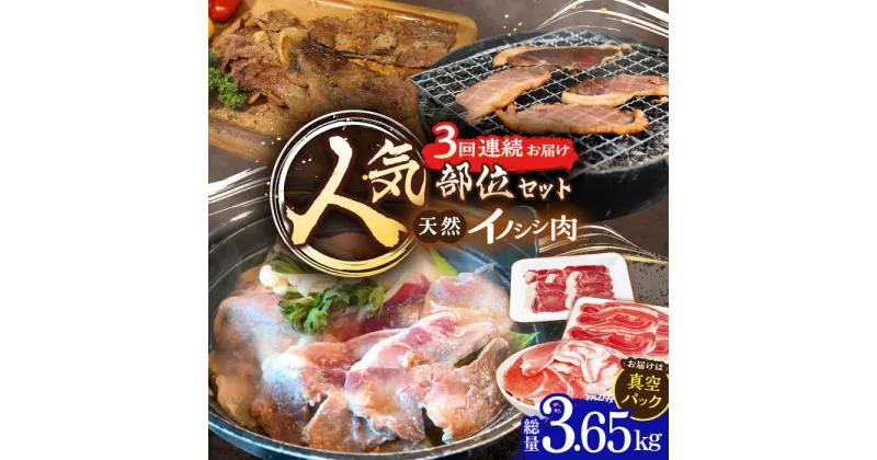 【ふるさと納税】【3回定期便】猪肉 人気部位セット 総量3.65kg / 冷凍発送 いのしし イノシシ 猪 ジビエ 肉 シシ いのしし肉 イノシシ肉 ぼたん鍋 焼肉用 切り落とし こま切れ スライス 冷凍 10万円台 十万円台 九州産 長崎県産 長崎県 川棚町【照本食肉加工所】 [OAJ076]