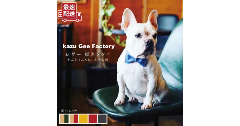 【ふるさと納税】本革 ペット用蝶ネクタイ〈5色から選べる〉【kazu Gee factory】[OBG007] / 犬用 猫用 愛犬 おしゃれ ファッション ペット用品 アクセサリー プレゼント ギフト パーティ ドッグウェア 首飾り リード リボン ねくたい 散歩 シンプル レザー小物 ハンドメイド