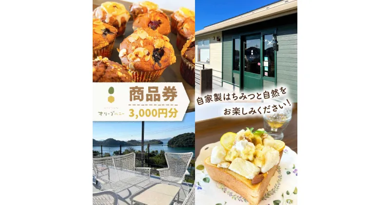 【ふるさと納税】商品券 3,000円分 ”自家製のハチミツと自然に囲まれたロケーションをご堪能いただけます！”【はちみつcafeオリーブハニー 】[OCG001] / 川棚町 長崎県 旅行 東彼杵郡 ドライブ 大村湾 チケット 体験 テラス席付き ランチ はちみつかけ放題 飲食店 おしゃれ